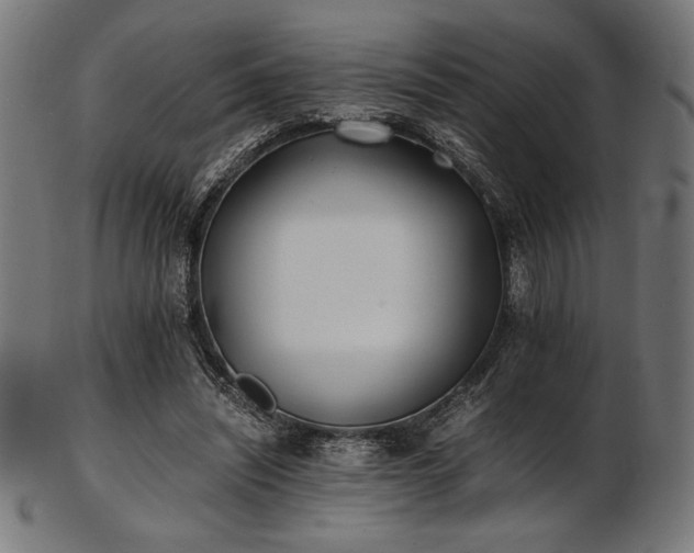 X0000103480444200809121653