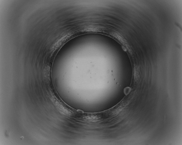 X0000103480445200809121653