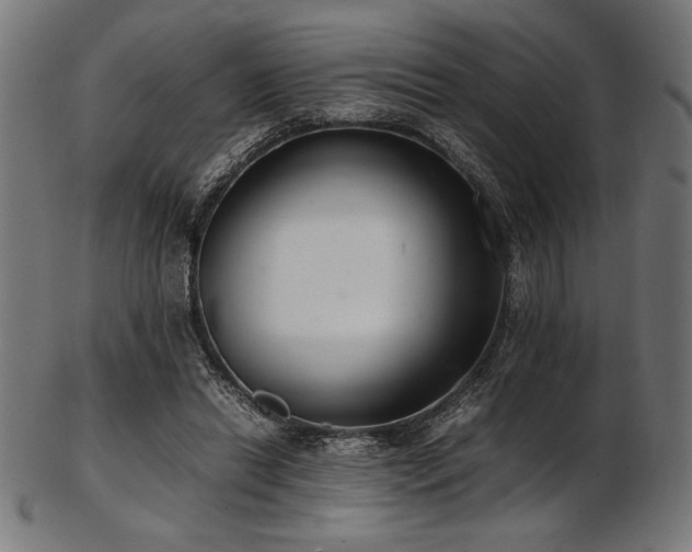 X0000103480446200809121653