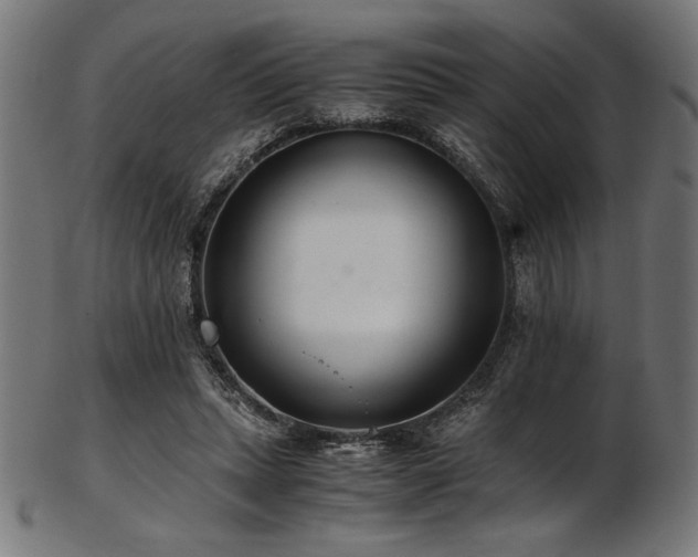 X0000103480447200809121653