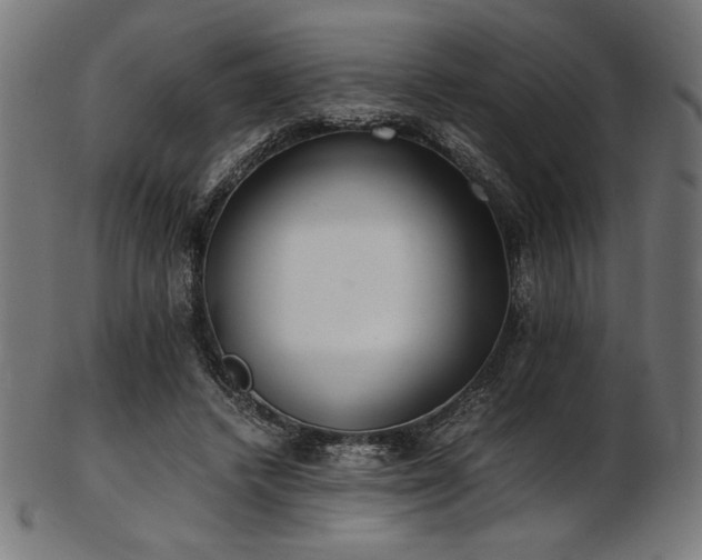X0000103480448200809121653