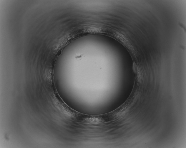 X0000103480449200809121654