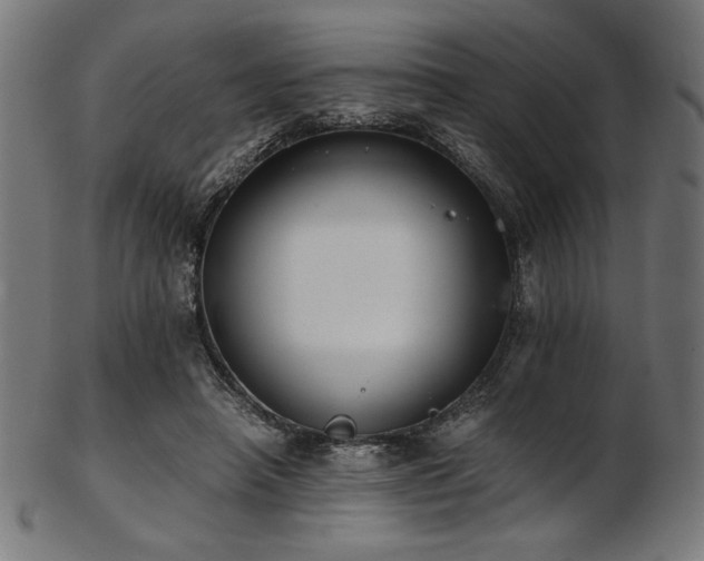 X0000103480450200809121654