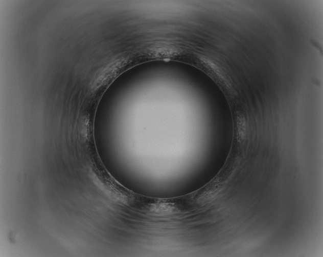X0000103480451200809121654