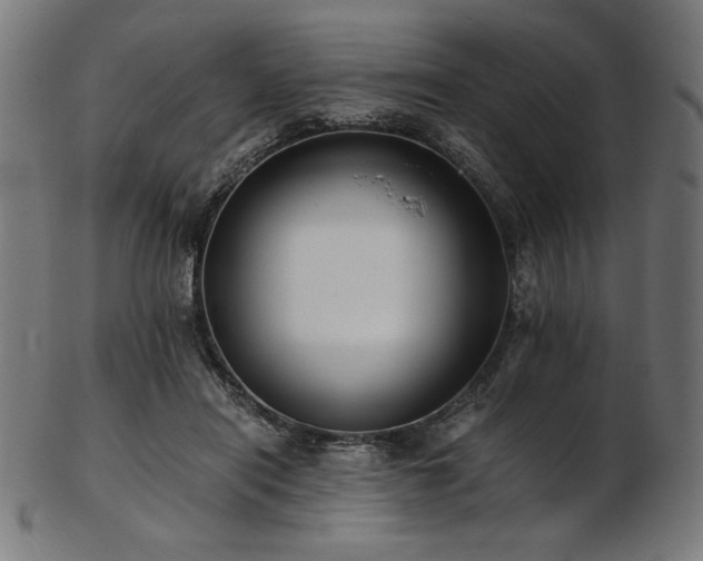 X0000103480454200809121654