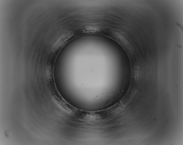 X0000103480455200809121654
