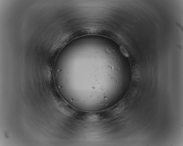X0000103480456200809121654