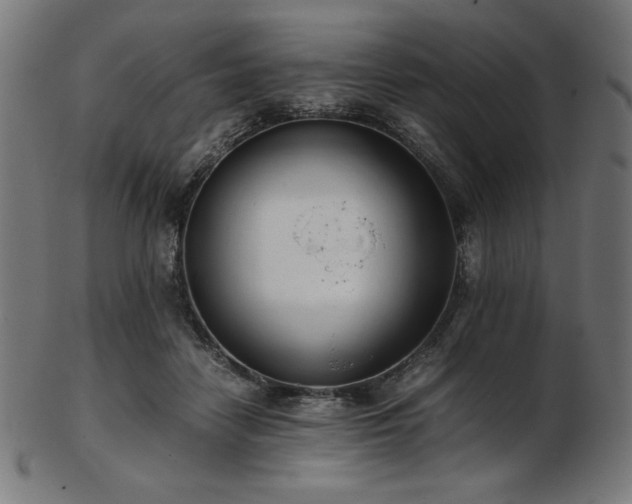 X0000103480458200809121654