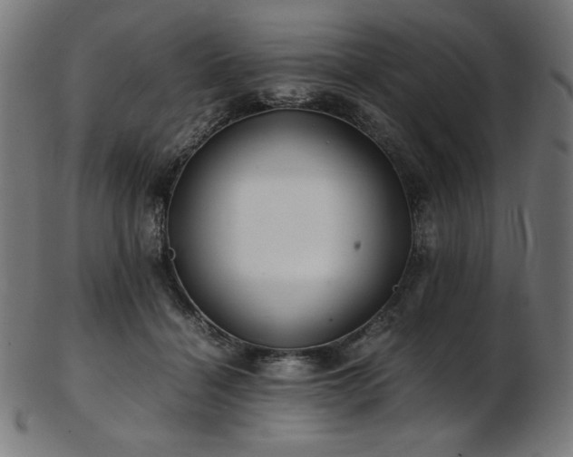 X0000103480460200809121654