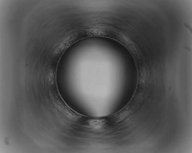 X0000103480465200809121654