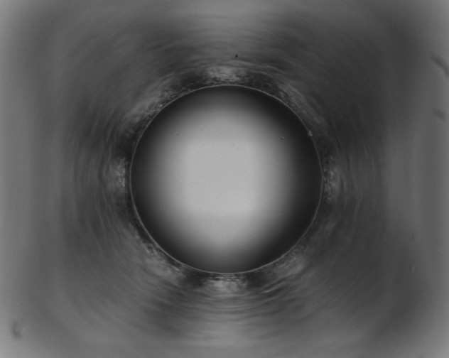 X0000103480466200809121654