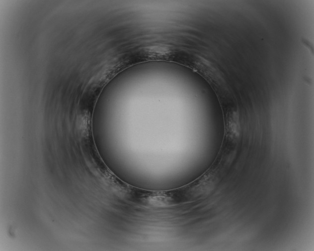 X0000103480468200809121654