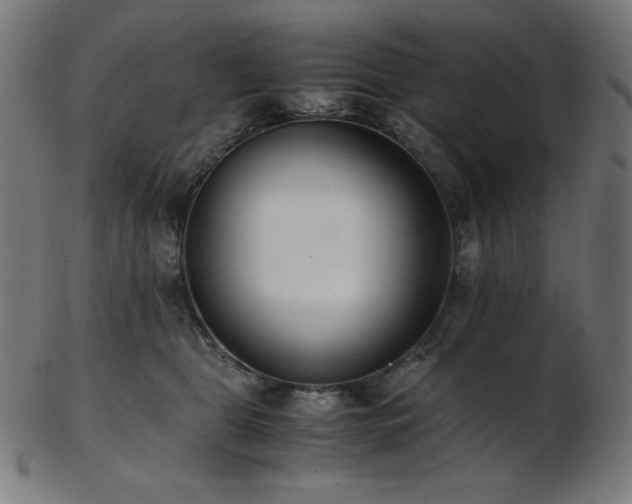 X0000103480469200809121654