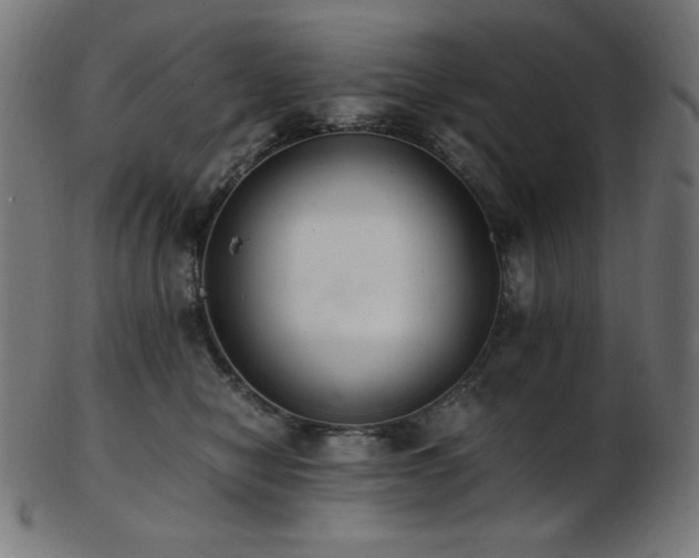 X0000103480470200809121654