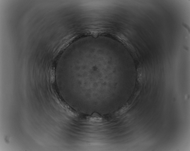 X0000103480471200809121654