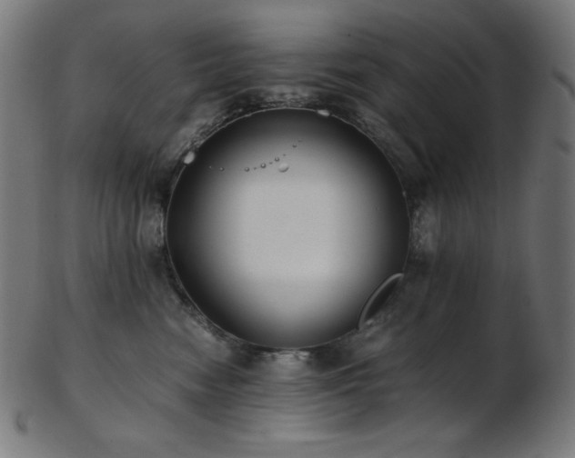 X0000103480474200809121654