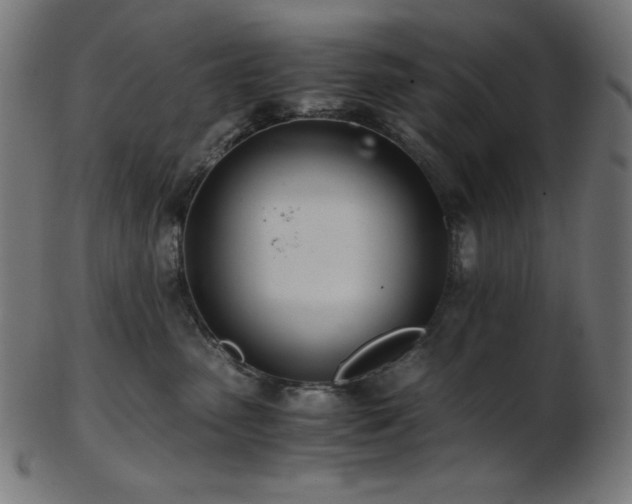 X0000103480475200809121654