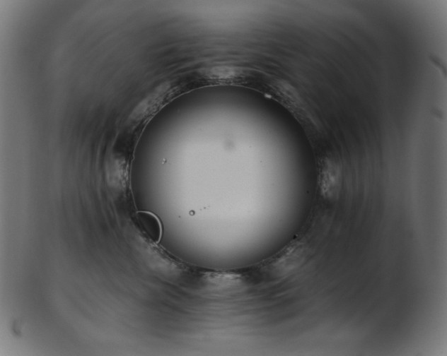 X0000103480476200809121654