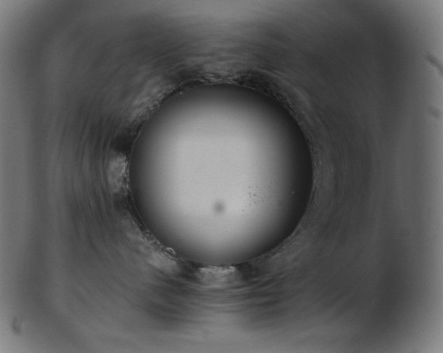 X0000103480480200809121654