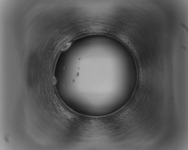 X0000103480481200809121653