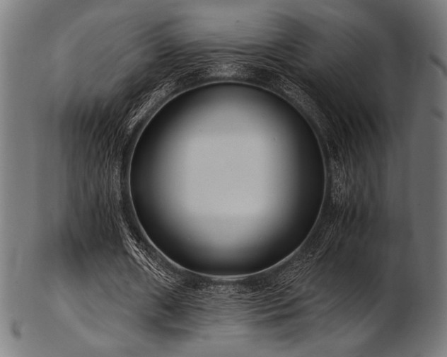 X0000103480482200809121653