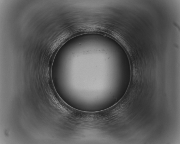 X0000103480485200809121653