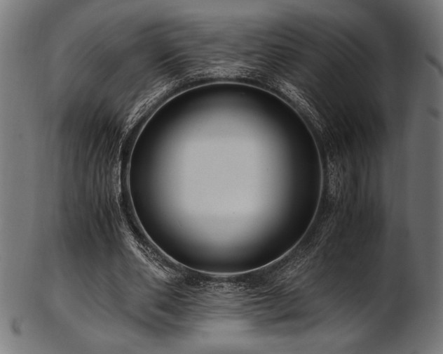 X0000103480486200809121653