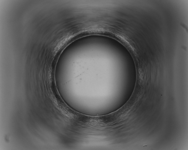 X0000103480487200809121653