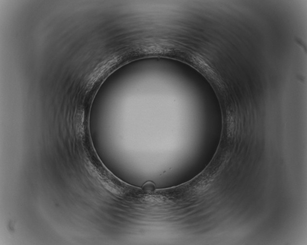 X0000103480490200809121653