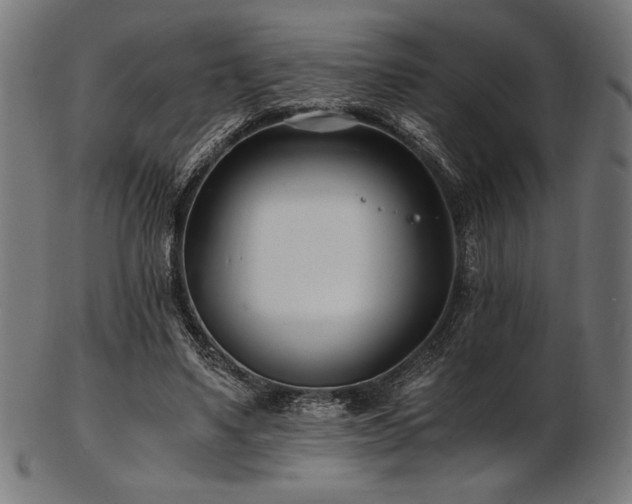 X0000103480491200809121653