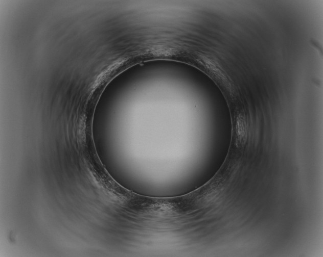X0000103480492200809121653