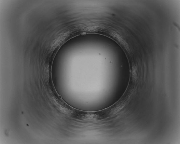 X0000103480493200809121653