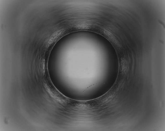X0000103480494200809121653
