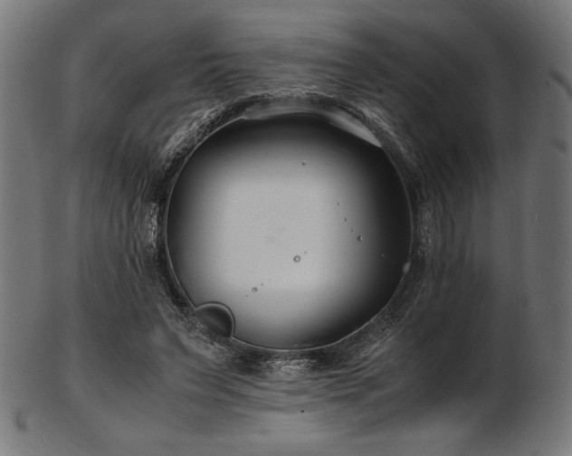 X0000103480495200809121653