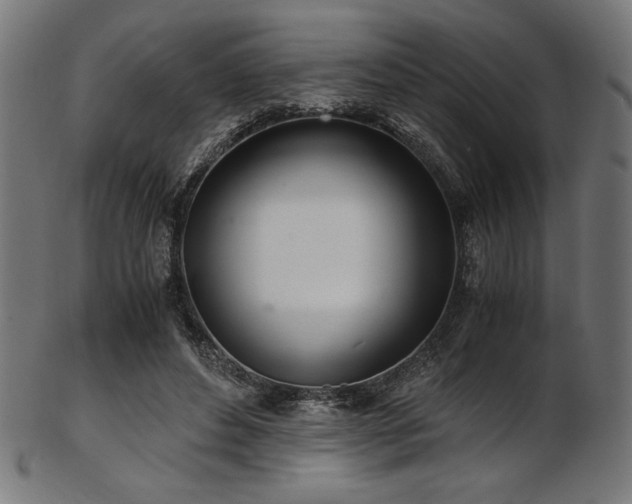 X0000103480496200809121653