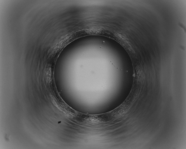 X0000103480498200809121653
