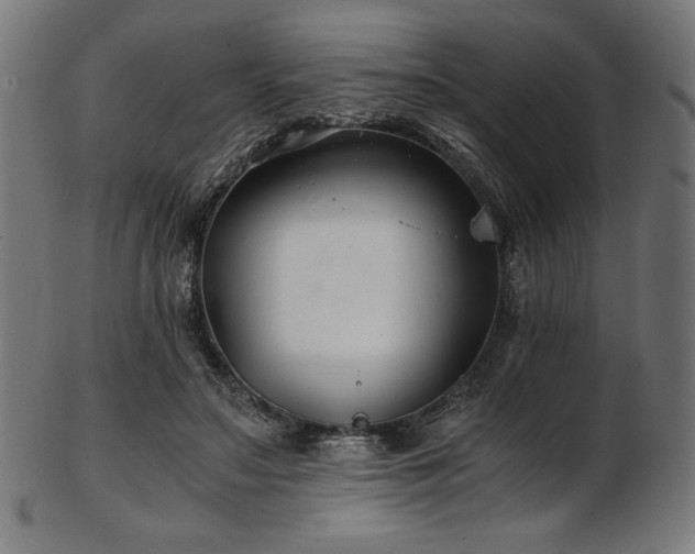 X0000103480499200809121653