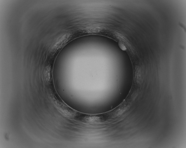 X0000103480501200809121653