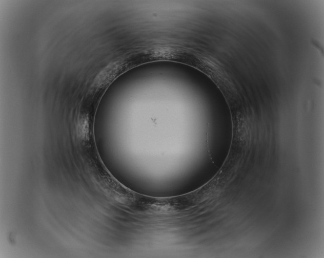 X0000103480502200809121653