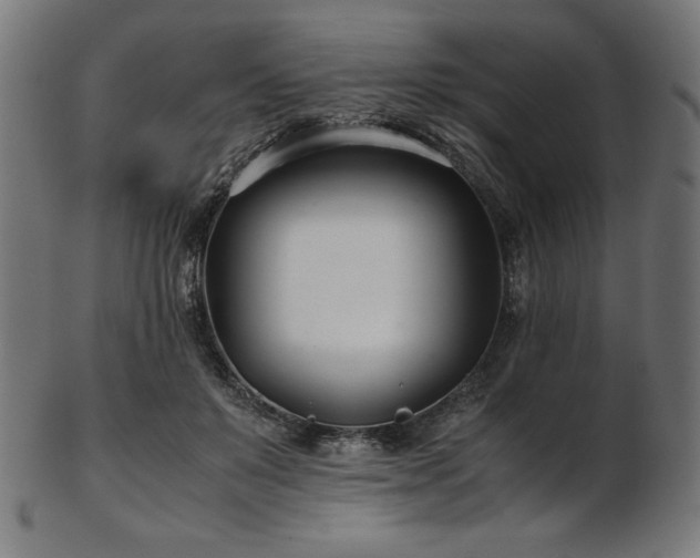X0000103480503200809121653