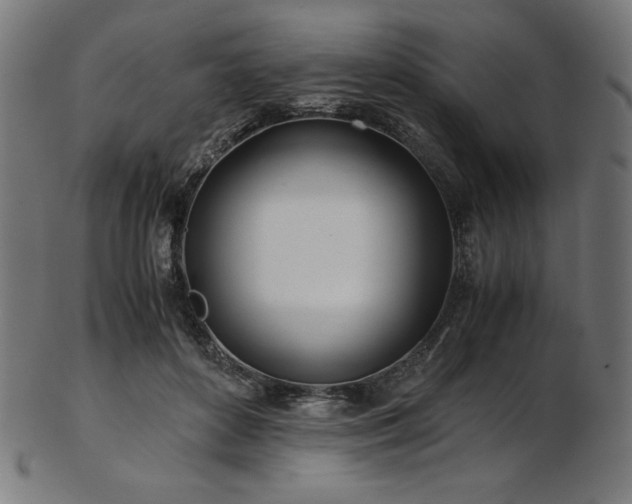 X0000103480504200809121653