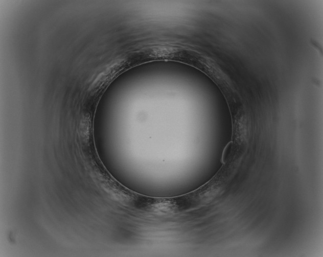 X0000103480505200809121653