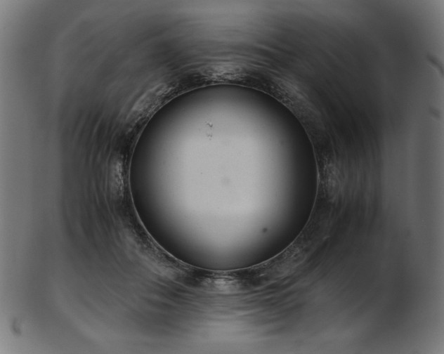 X0000103480506200809121653