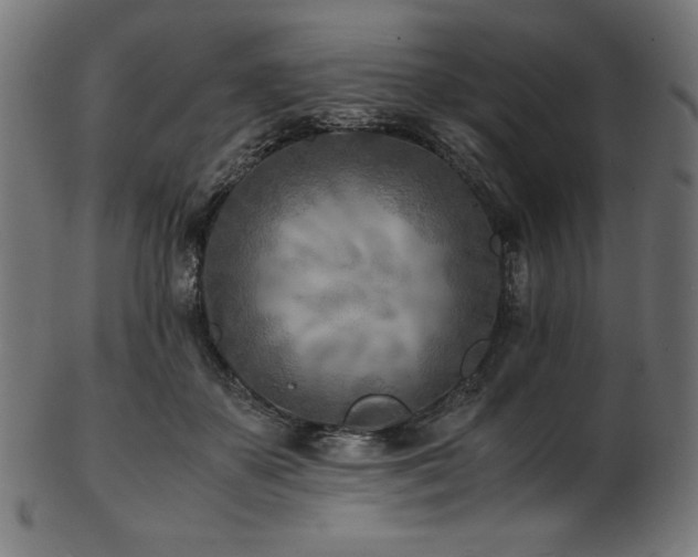X0000103480507200809121653