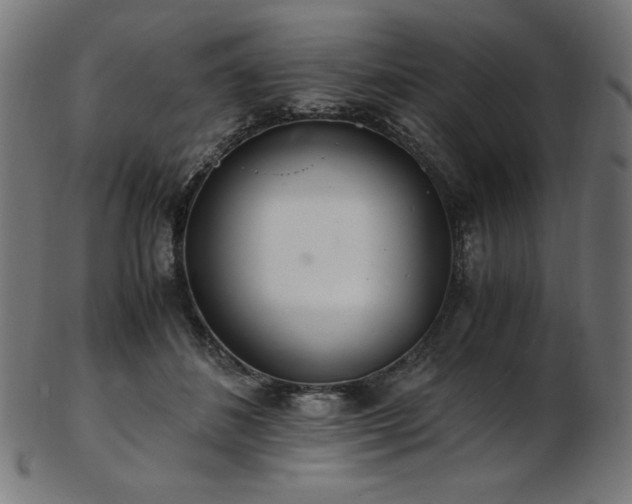 X0000103480508200809121653