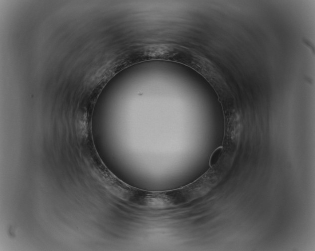 X0000103480510200809121653