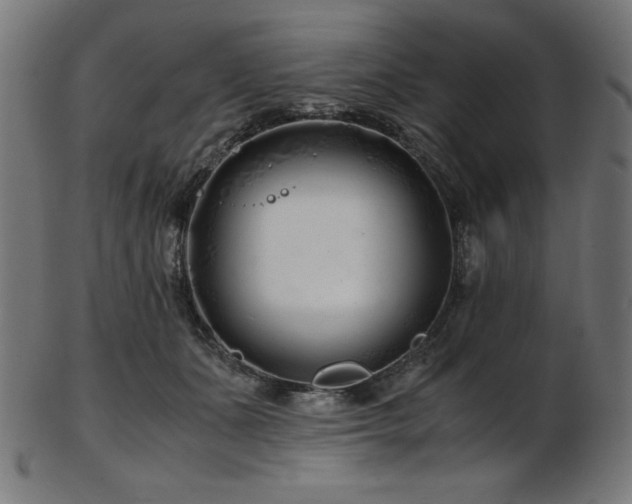 X0000103480511200809121653