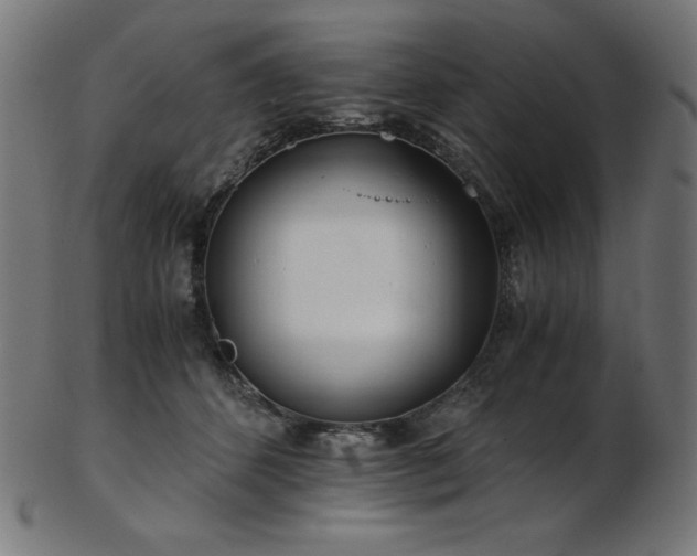 X0000103480512200809121653