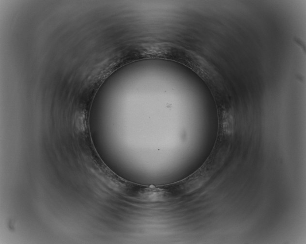 X0000103480514200809121653