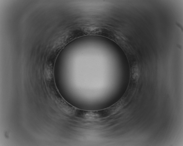 X0000103480515200809121653